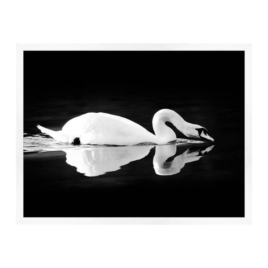 Picture of GLIDING SWAN