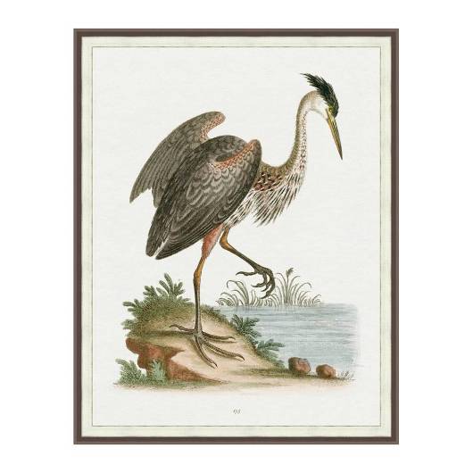 Picture of REGAL HERON 2