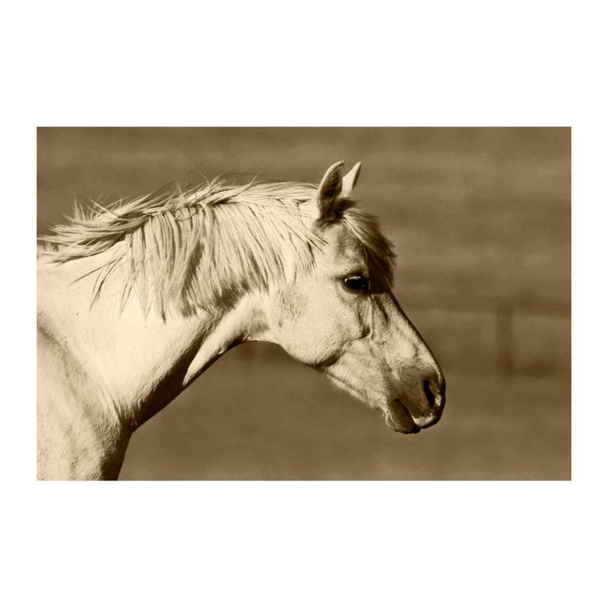 Picture of MYSTIC