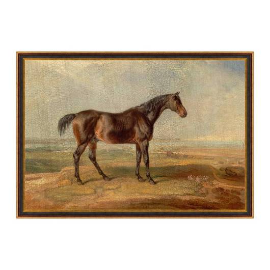 Picture of KNIGHT