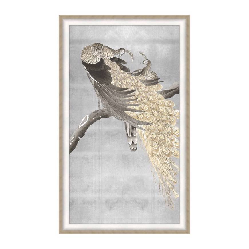Picture of SILVER GRACE PEACOCKS
