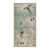 Picture of HUMMINGBIRD DANCES 2