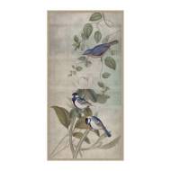Picture of HUMMINGBIRD DANCES 4