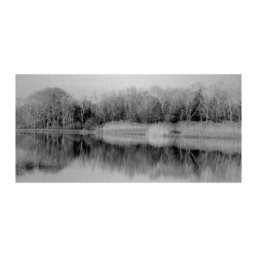 Picture of METALLIC RIVERBANK REFLECTION