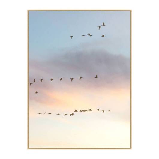 Picture of SUNSET FLOCK 2