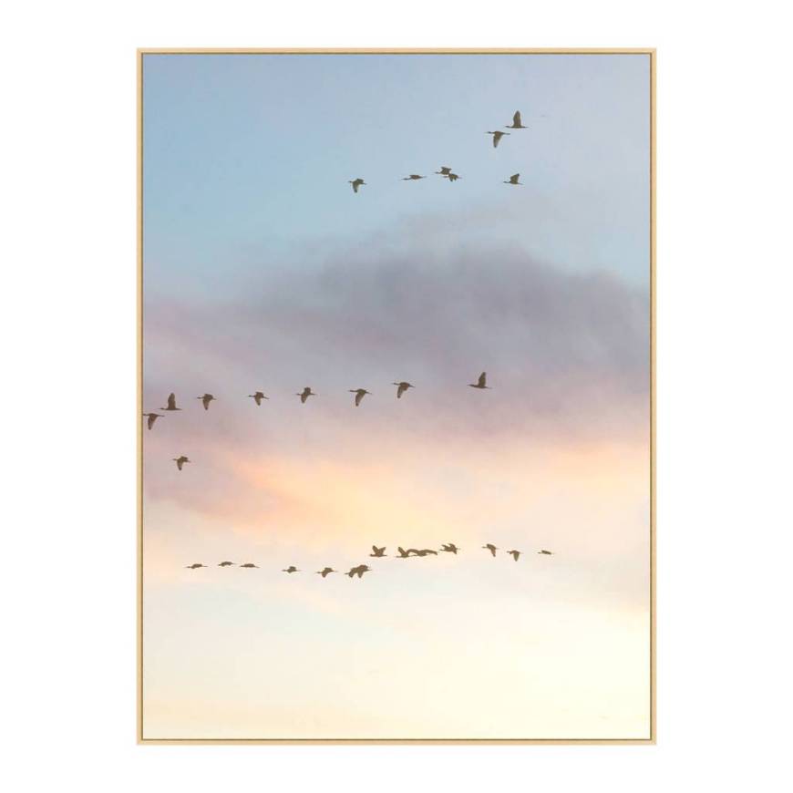 Picture of SUNSET FLOCK 2