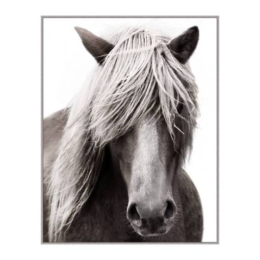 Picture of FABLED STALLION