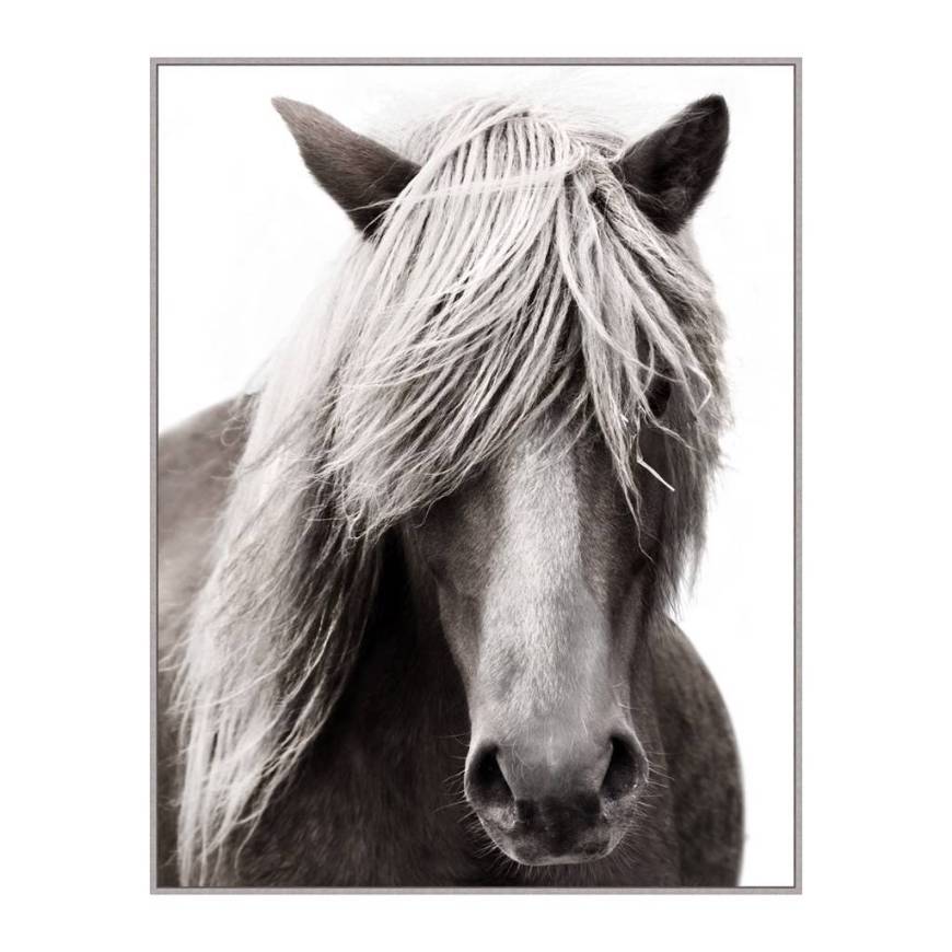 Picture of FABLED STALLION