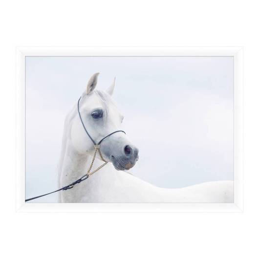 Picture of HENRIETTA