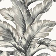 Picture of BANANA SPRINGS COASTAL HAVEN WALLPAPER