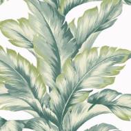 Picture of BANANA SPRINGS COASTAL HAVEN WALLPAPER