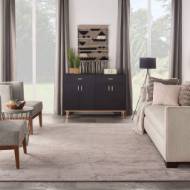 Picture of SILK SHADOWS SHA02 TRANSITIONAL RUG
