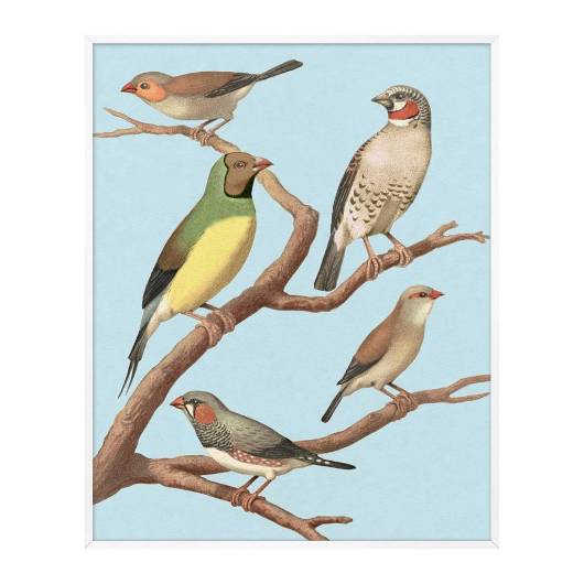 Picture of PERCHED 1