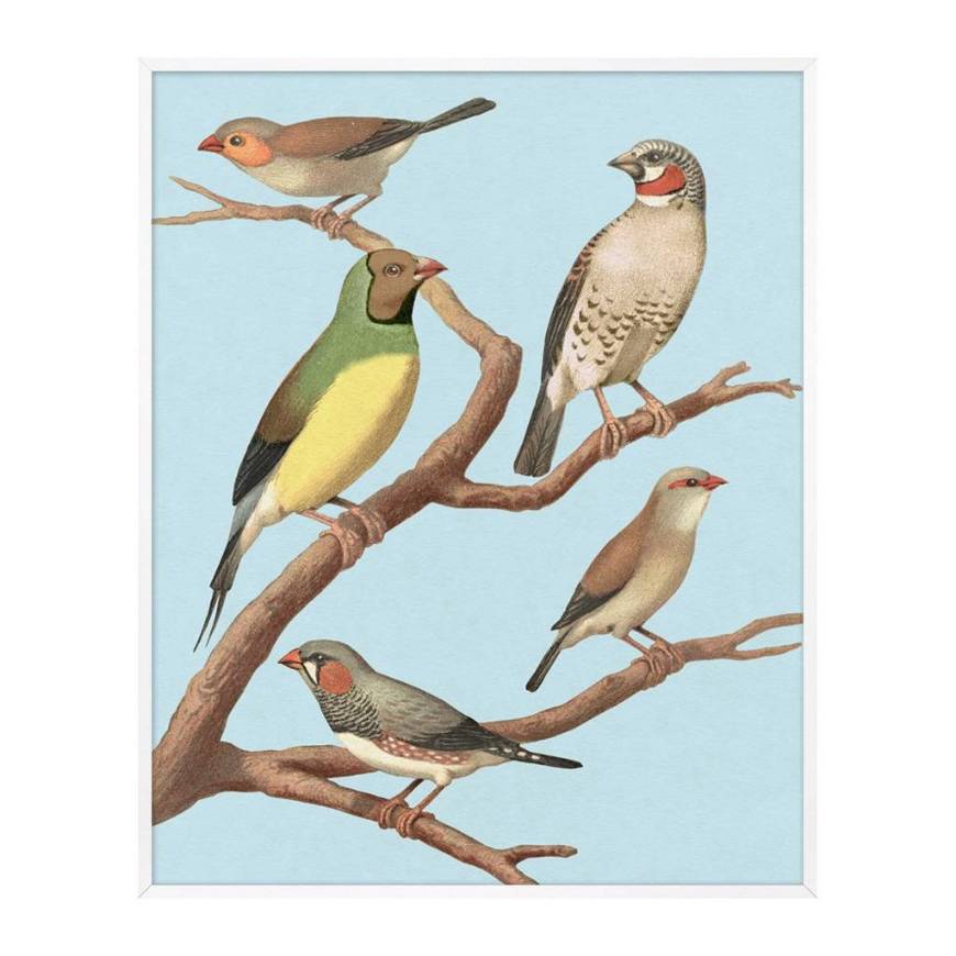 Picture of PERCHED 1