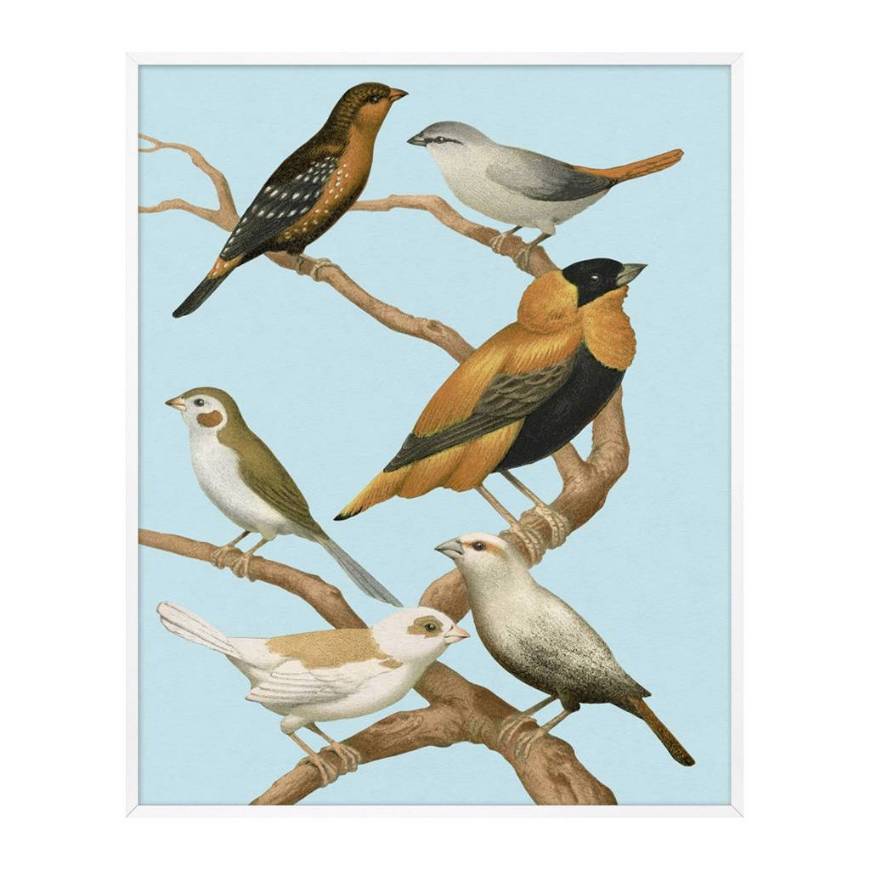 Picture of PERCHED 3