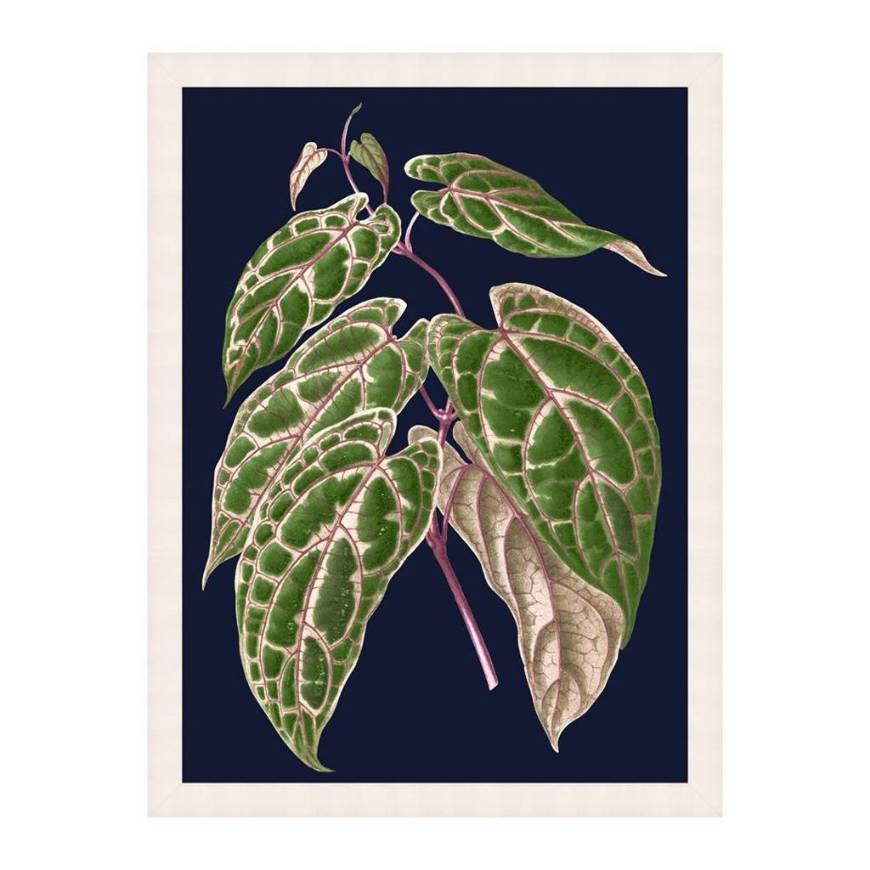 Picture of BOTANY ON BLUE 1