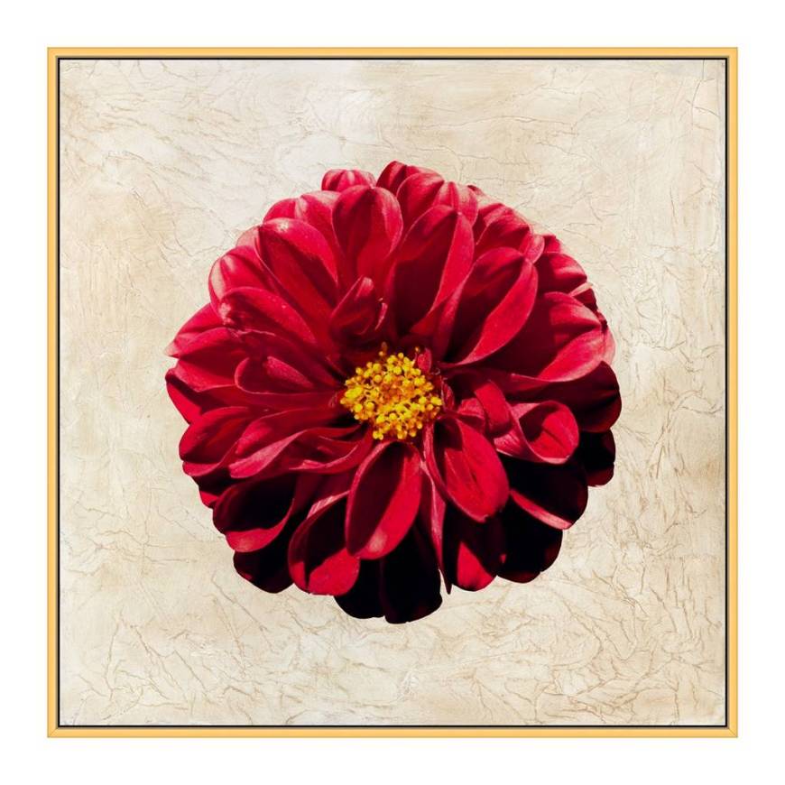 Picture of TEXTURED PETALS 2