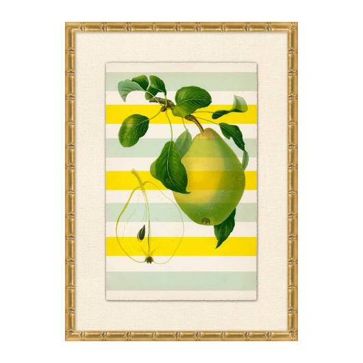 Picture of STRIPED PEAR 2