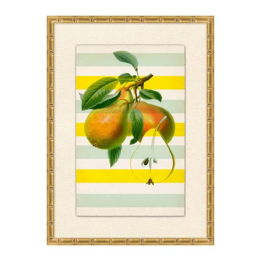 Picture of STRIPED PEAR 1