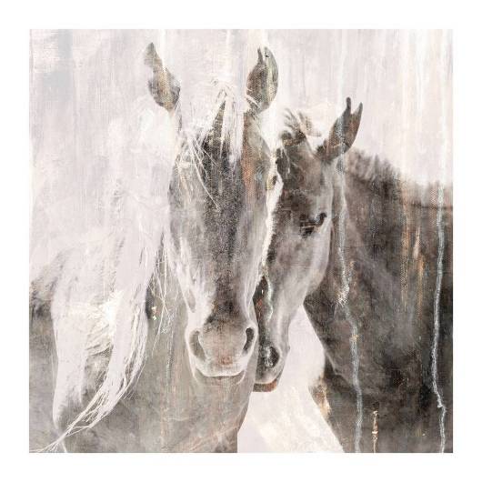Picture of HORSE ESSENCE 1