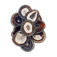 Picture of PIETRA SANTA SCONCE