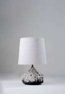 Picture of ARA LAMP