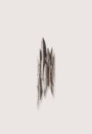 Picture of LEAF WALL LIGHT SMALL