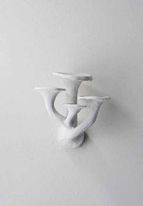 Picture of MUSHROOM WALL LIGHT EXTRA SMALL