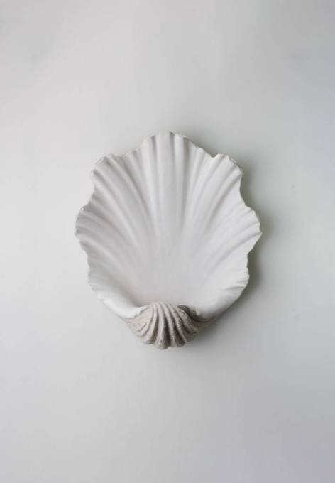 Picture of SCALLOP SHELL WALL LIGHT
