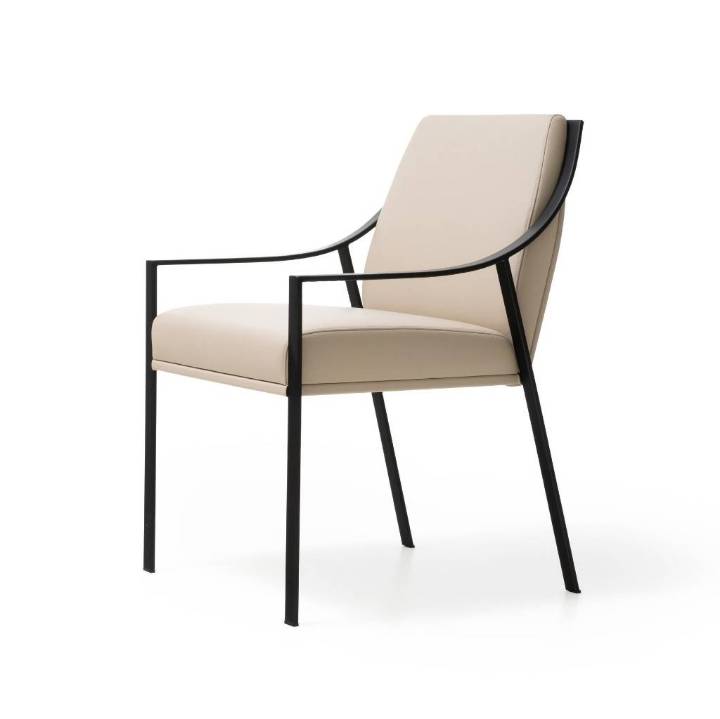 Picture of AILERON DINING ARM CHAIR