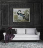 Picture of EVELYN SOFA