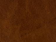 Picture of  SHASTA RECLINER           