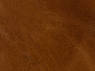 Picture of  JILIAN CLUB CHAIR          