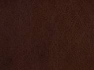 Picture of  SASHA EXECUTIVE SWIVEL TILT CHAIR        