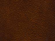 Picture of  ERIN EXECUTIVE SWIVEL TILT CHAIR        