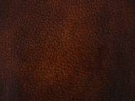 Picture of  SAMUEL EXECUTIVE SWIVEL TILT CHAIR        