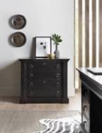 Picture of  BRISTOWE LATERAL FILE          