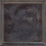 Picture of SAMARKAND BURL CHEST