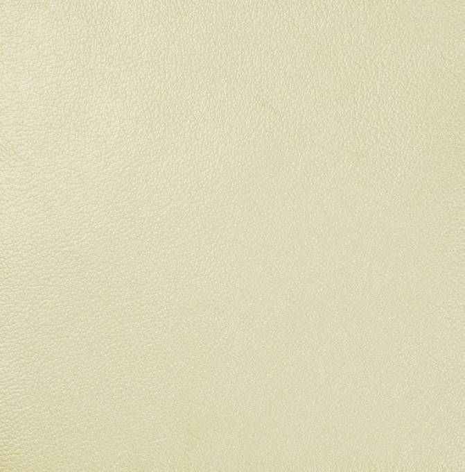 Picture of IVORY SNOW