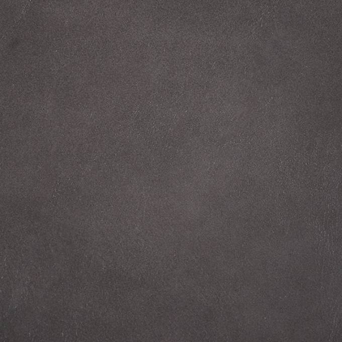 Picture of DOLPHIN