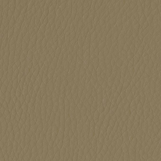 Picture of SAFARI