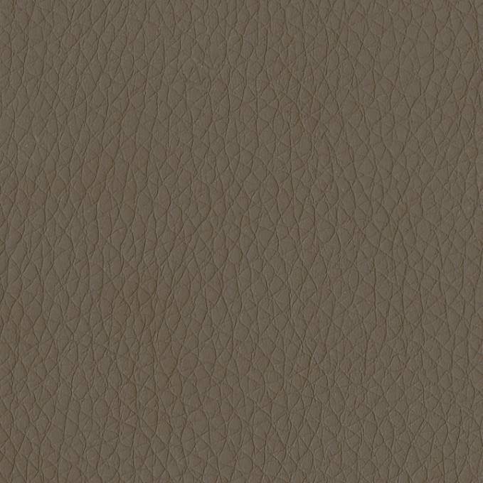 Picture of JAVA