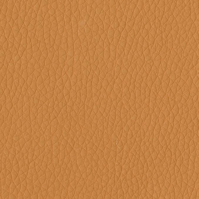 Picture of FIESTA