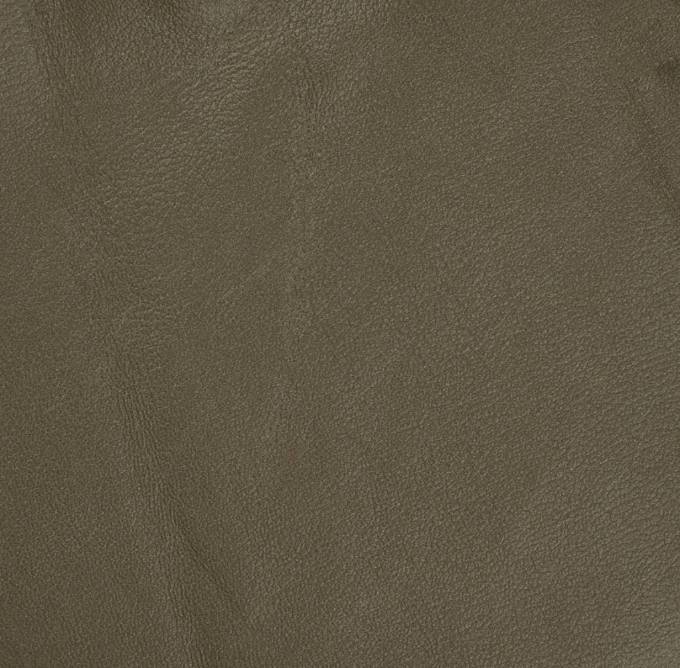 Picture of FAWN