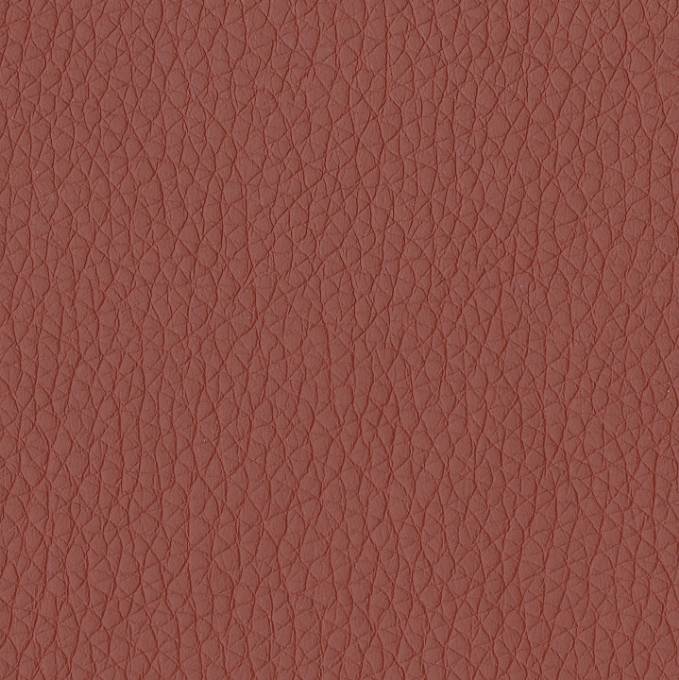 Picture of CORDOVAN