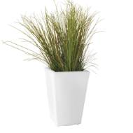 Picture of SPLENDOUR MEDIUM SQUARE POT
