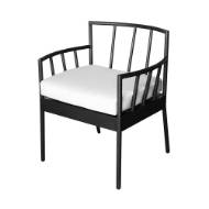 Picture of OSLO DINING CHAIR WITH ARMS