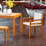 Picture of CALI DINING CHAIR