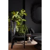 Picture of MOLEDRO SPOT TABLE