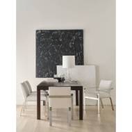 Picture of ZARA SIDE CHAIR